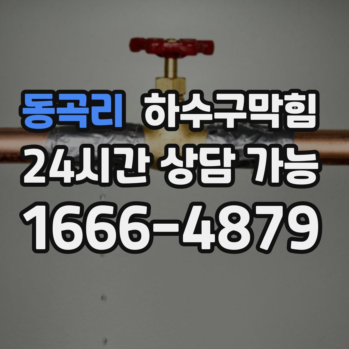 동곡리 하수구막힘