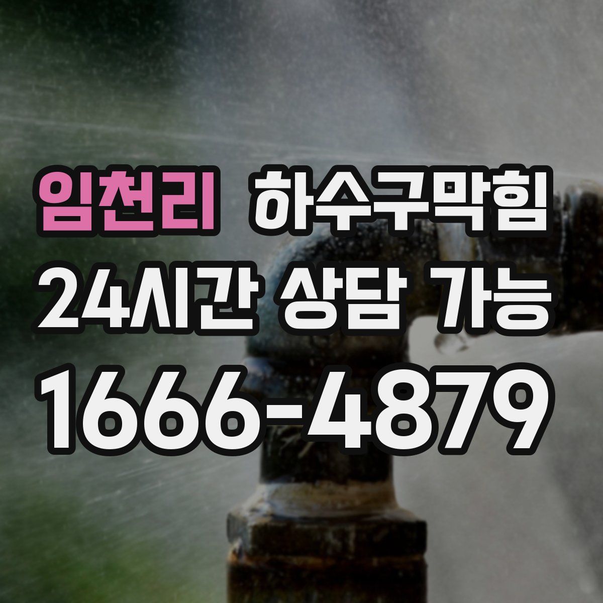 임천리 하수구막힘