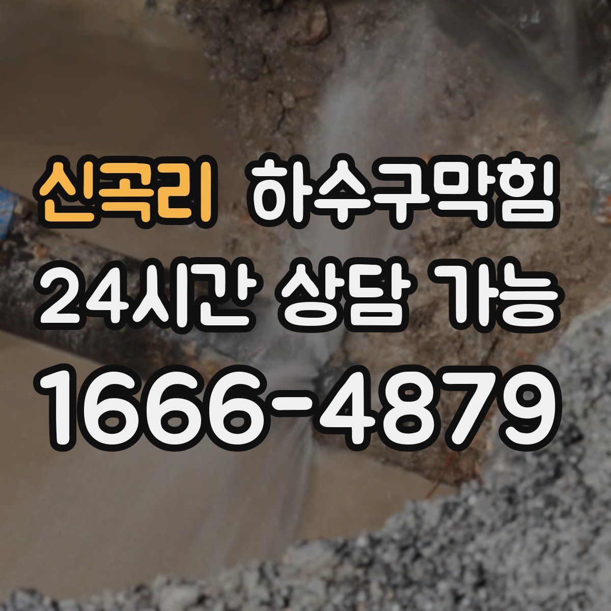 신곡리 하수구막힘