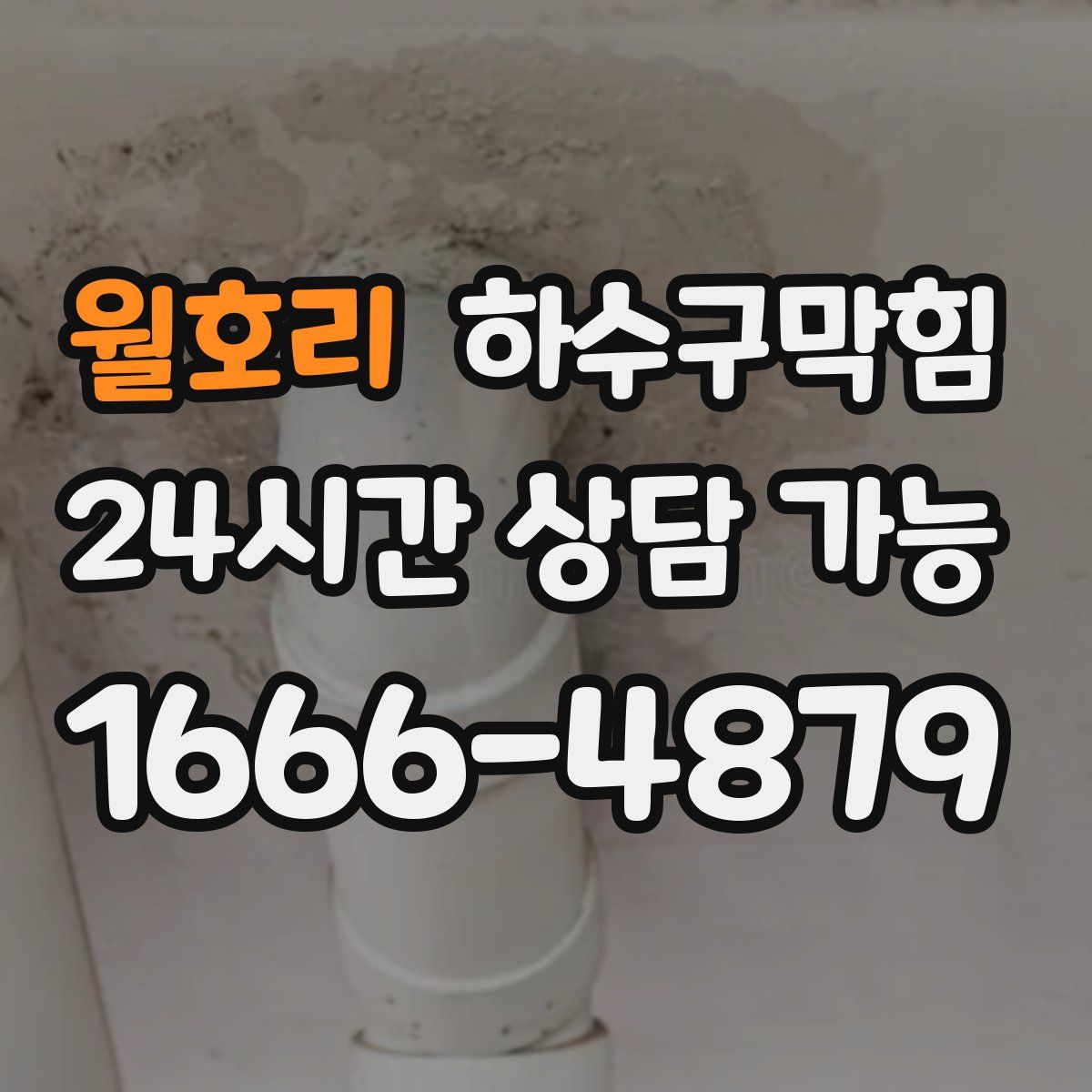 월호리 하수구막힘