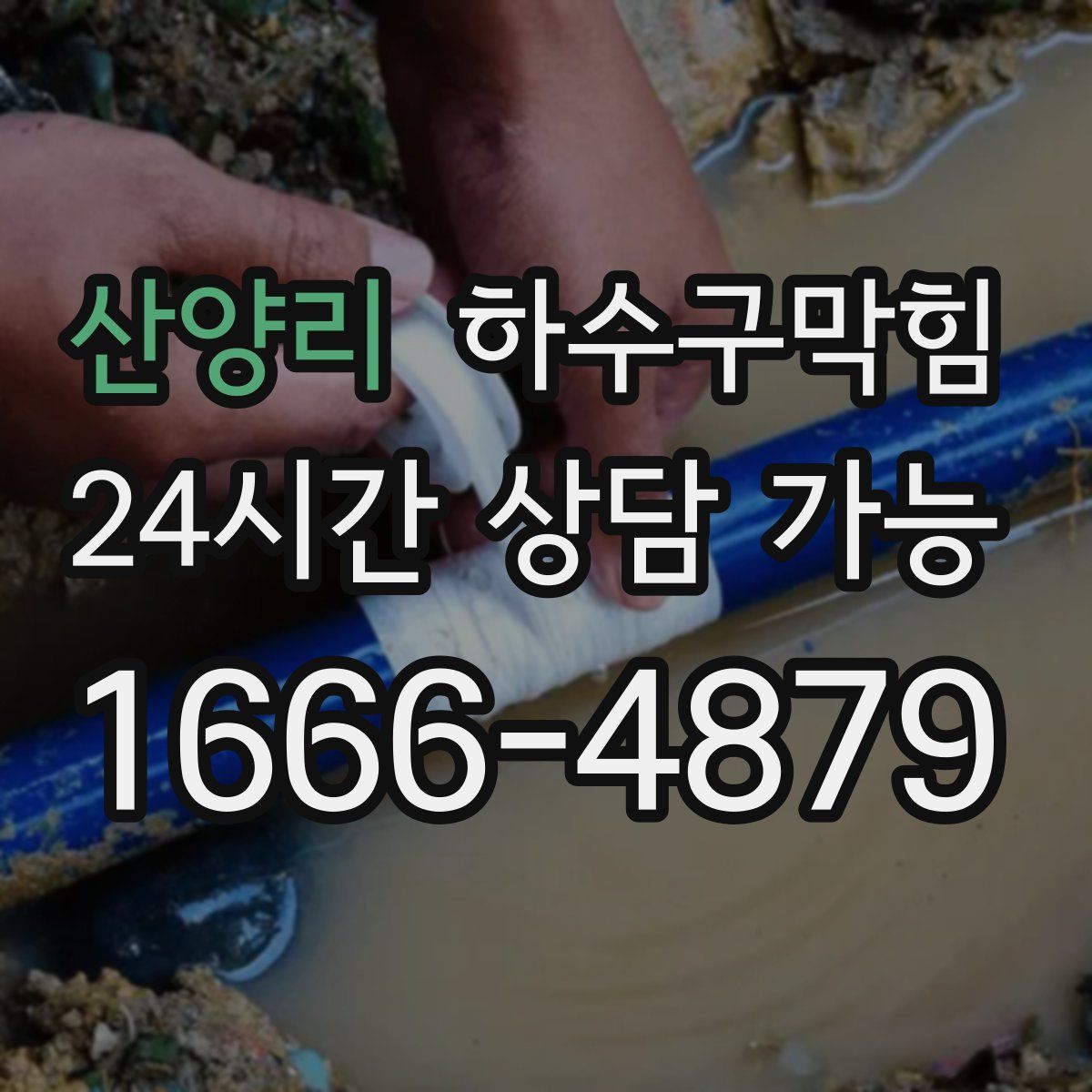 산양리 하수구막힘