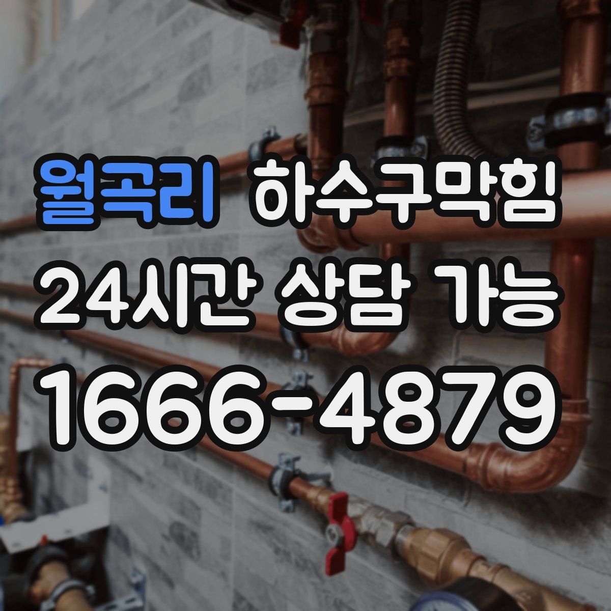 월곡리 하수구막힘