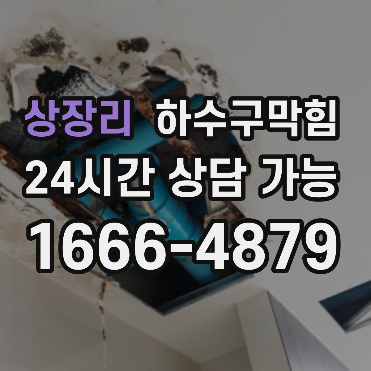 상장리 하수구막힘