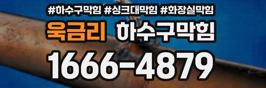 하수구막힘
