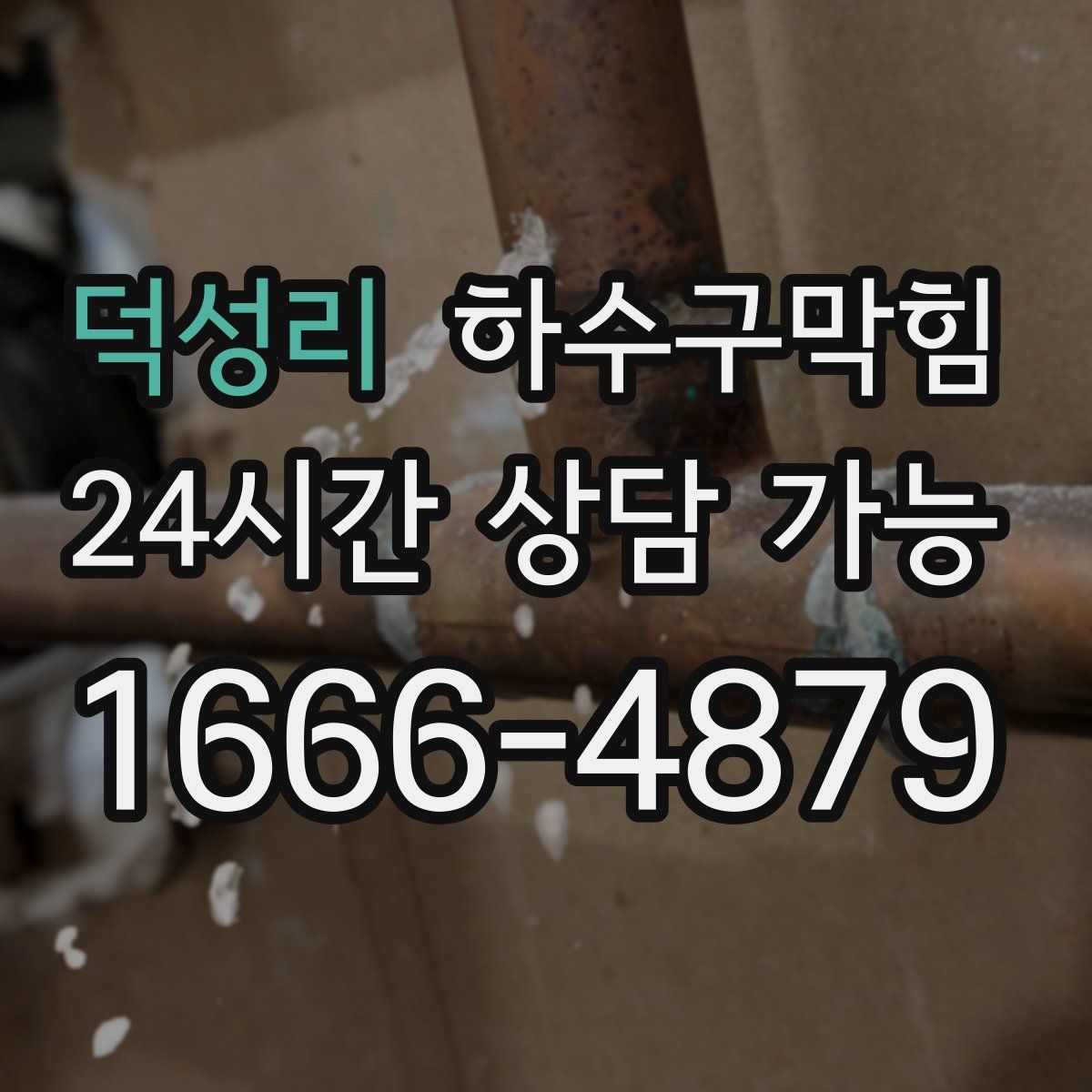 덕성리 하수구막힘