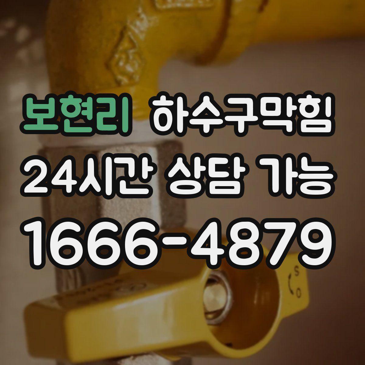 보현리 하수구막힘