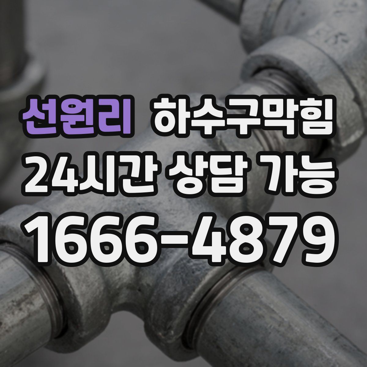 선원리 하수구막힘