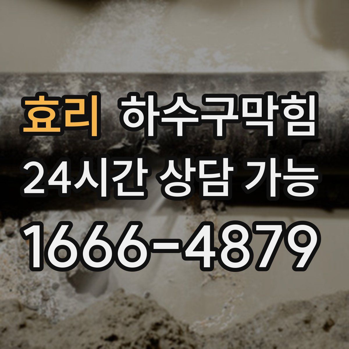 효리 하수구막힘