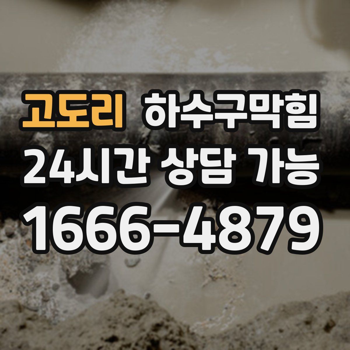 고도리 하수구막힘