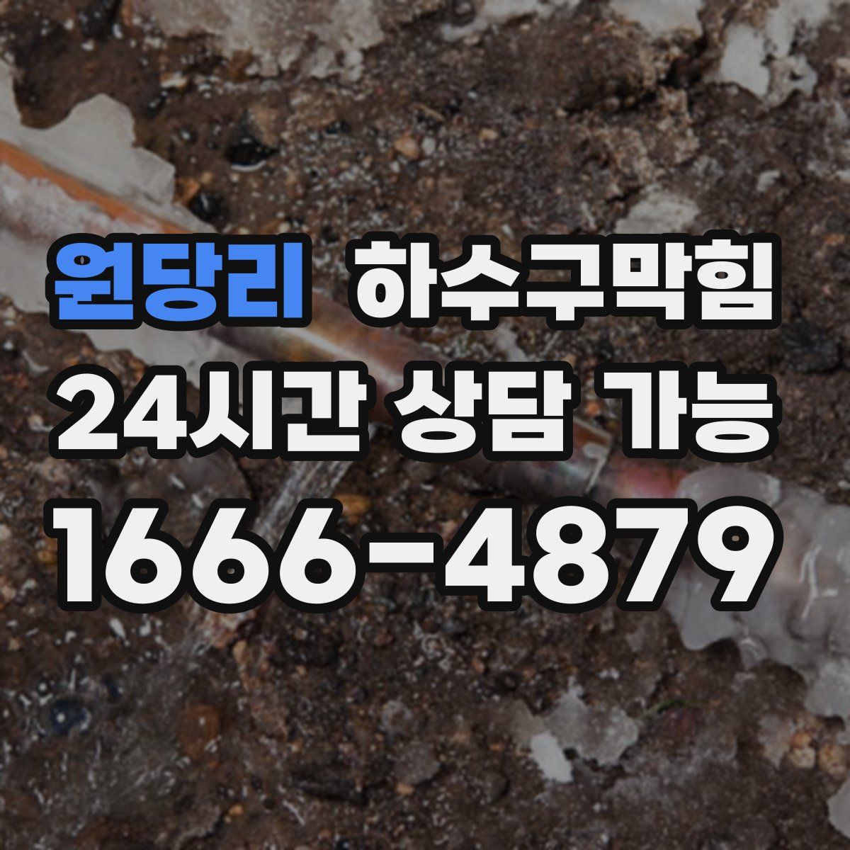 원당리 하수구막힘