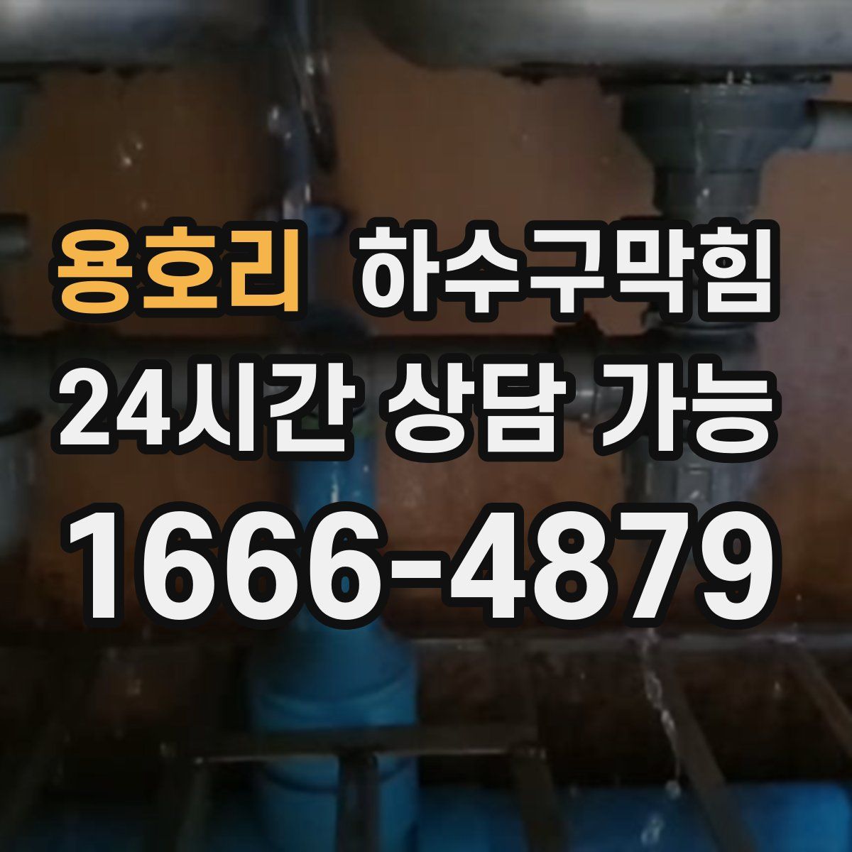 용호리 하수구막힘