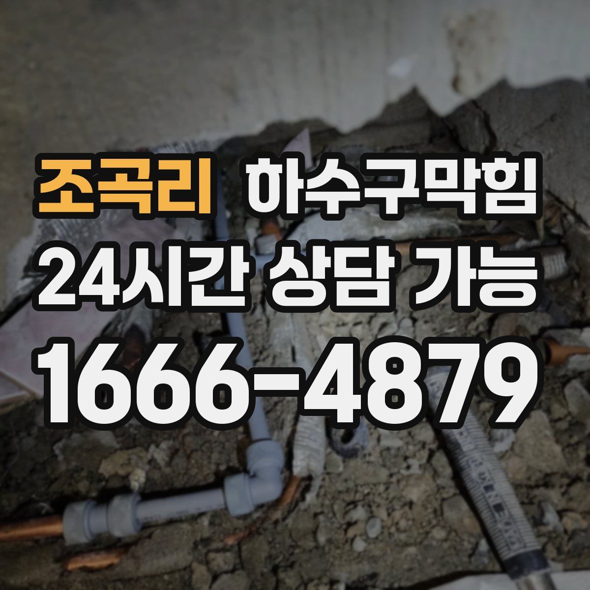 조곡리 하수구막힘