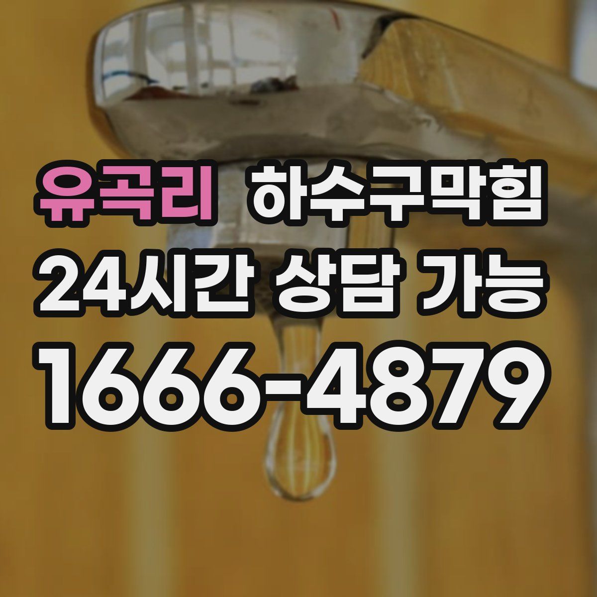 유곡리 하수구막힘