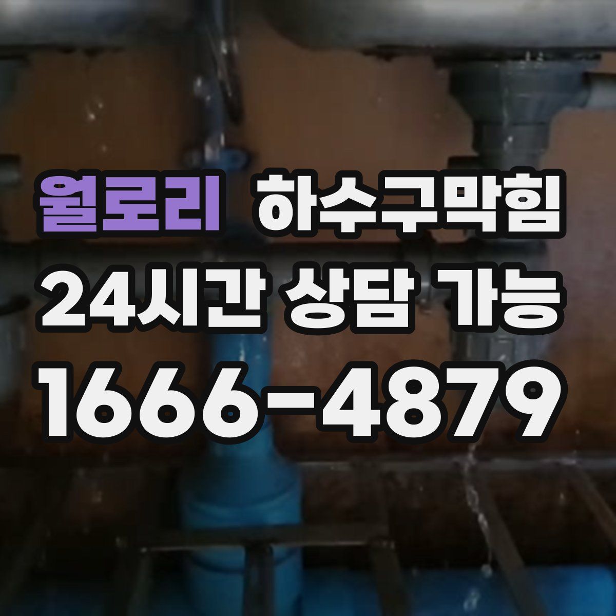 월로리 하수구막힘