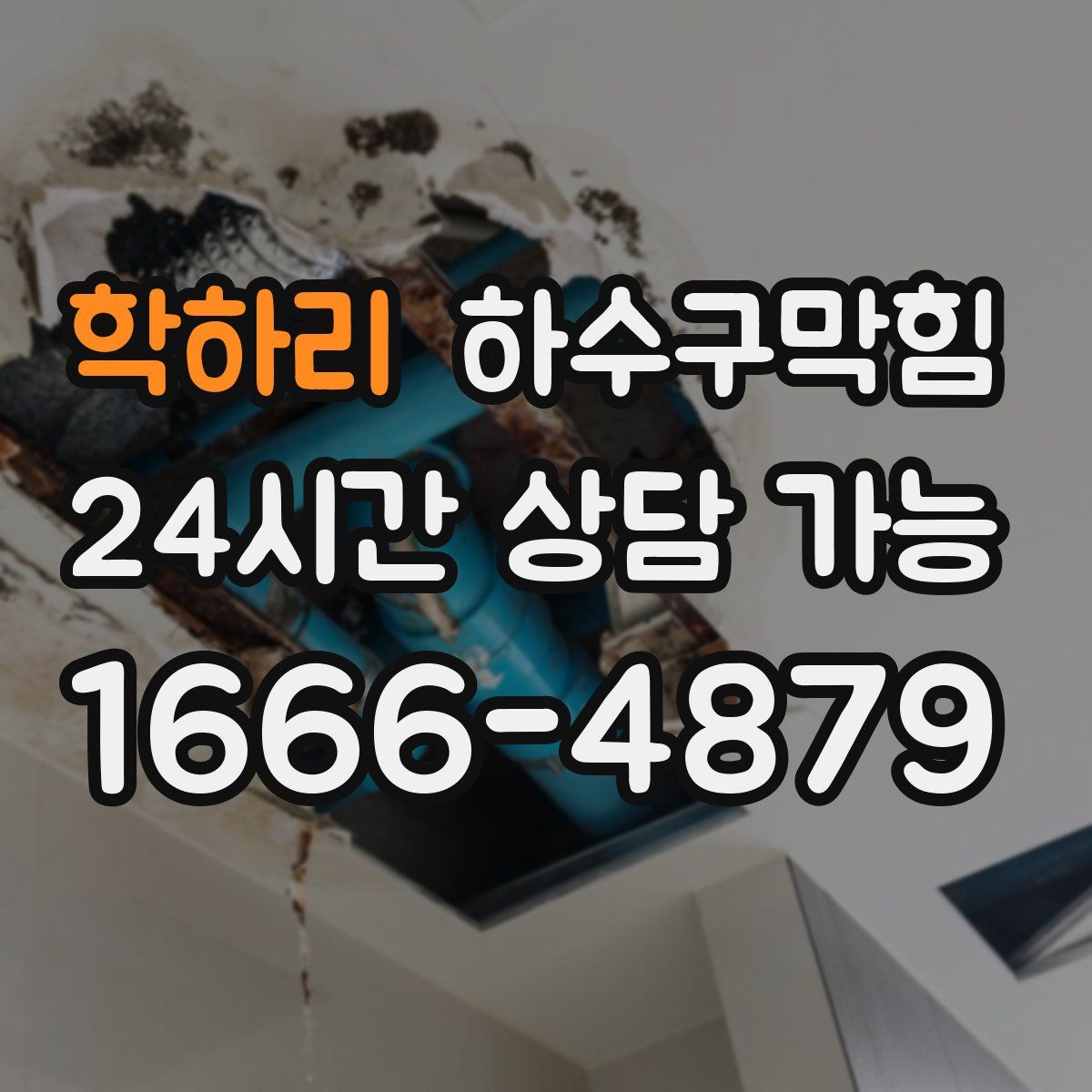 학하리 하수구막힘