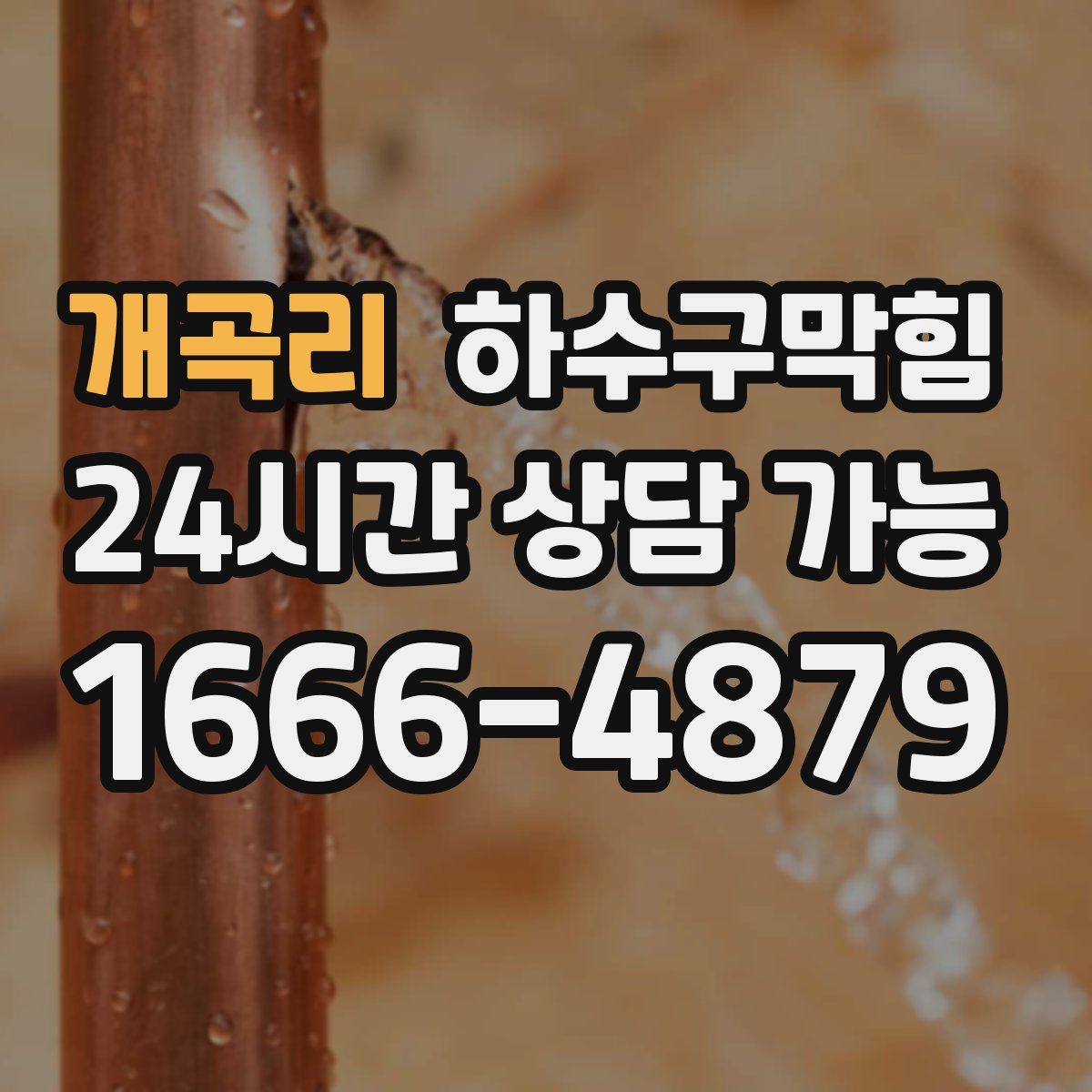 개곡리 하수구막힘