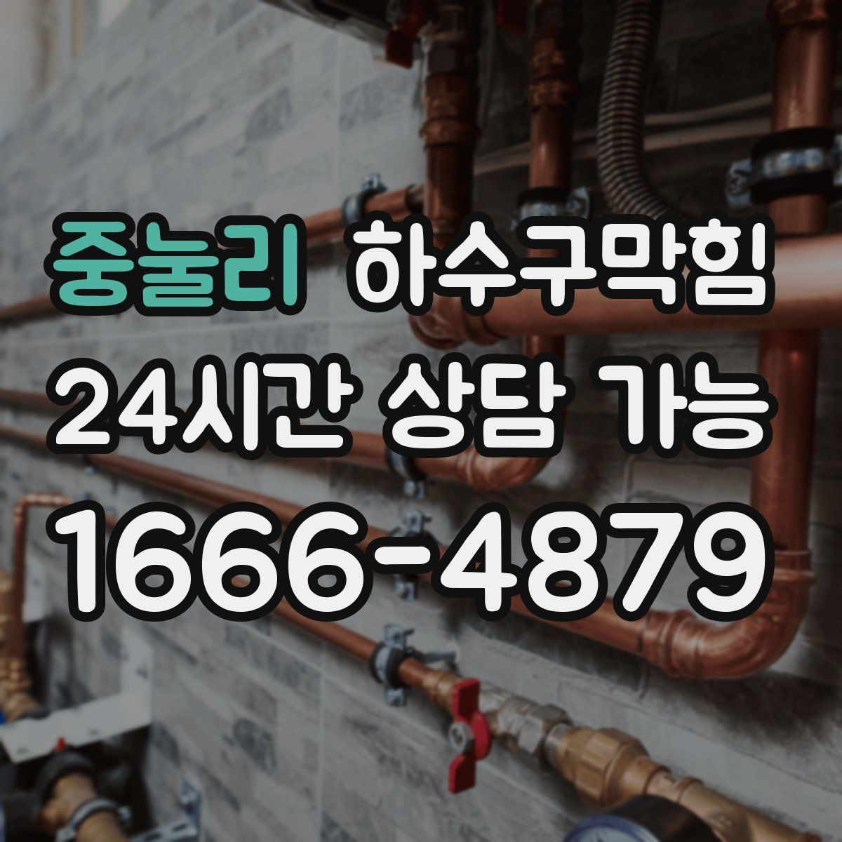 중눌리 하수구막힘