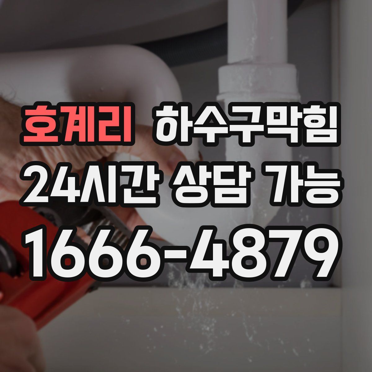 호계리 하수구막힘