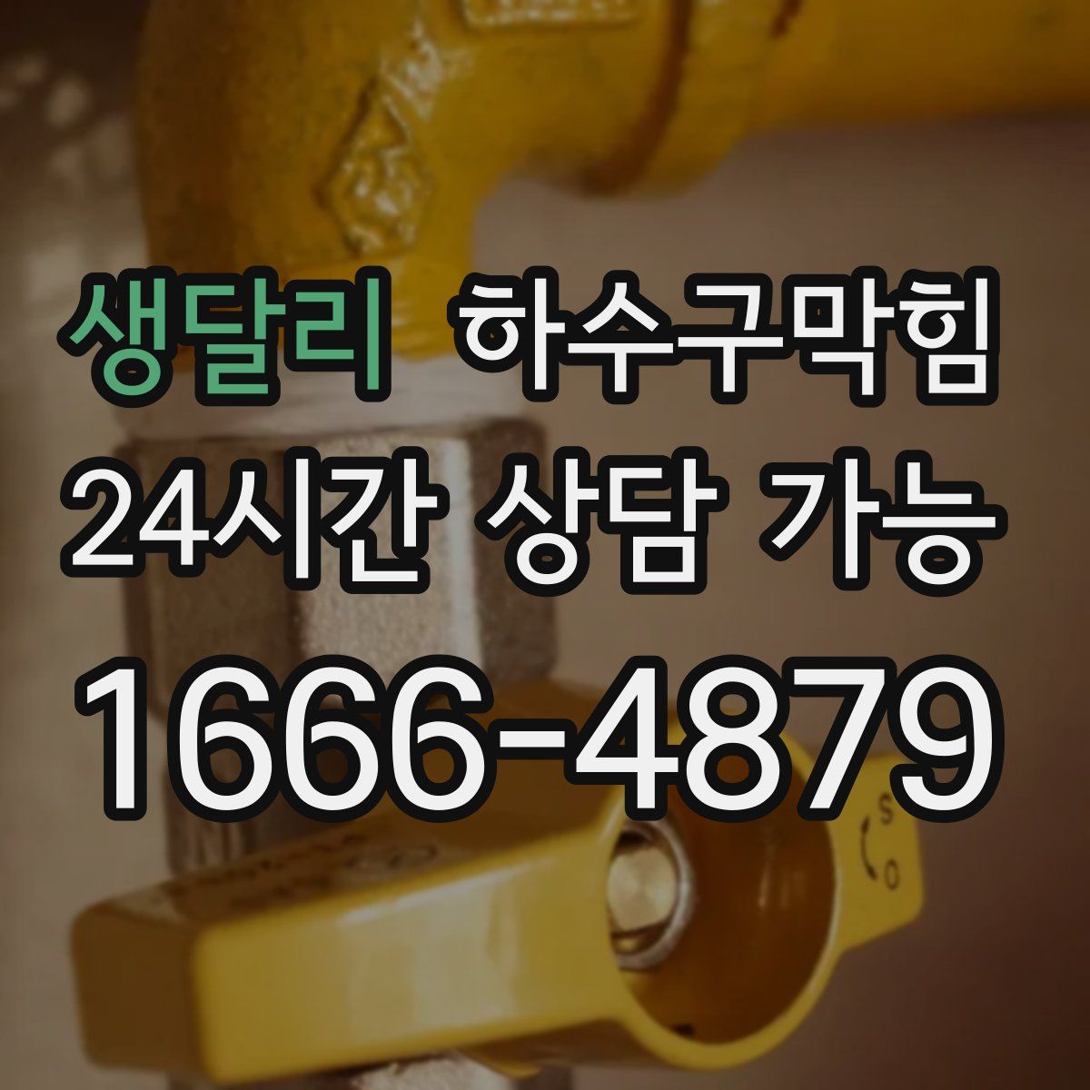 생달리 하수구막힘