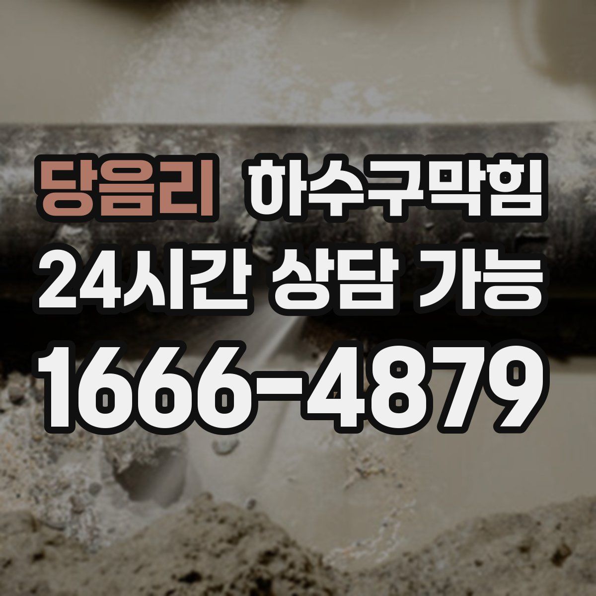 당음리 하수구막힘