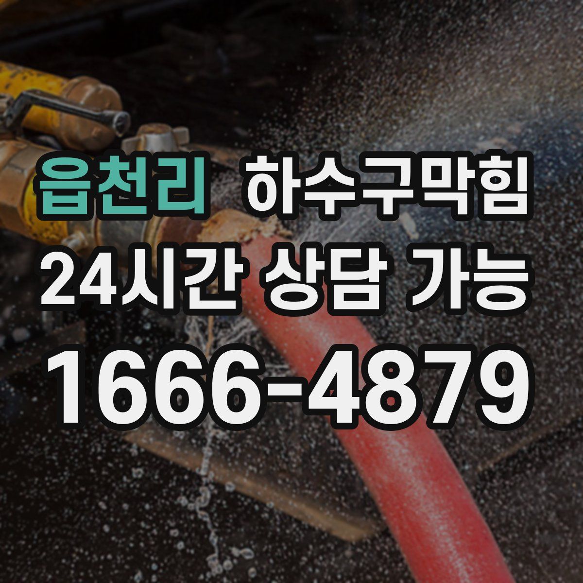 읍천리 하수구막힘