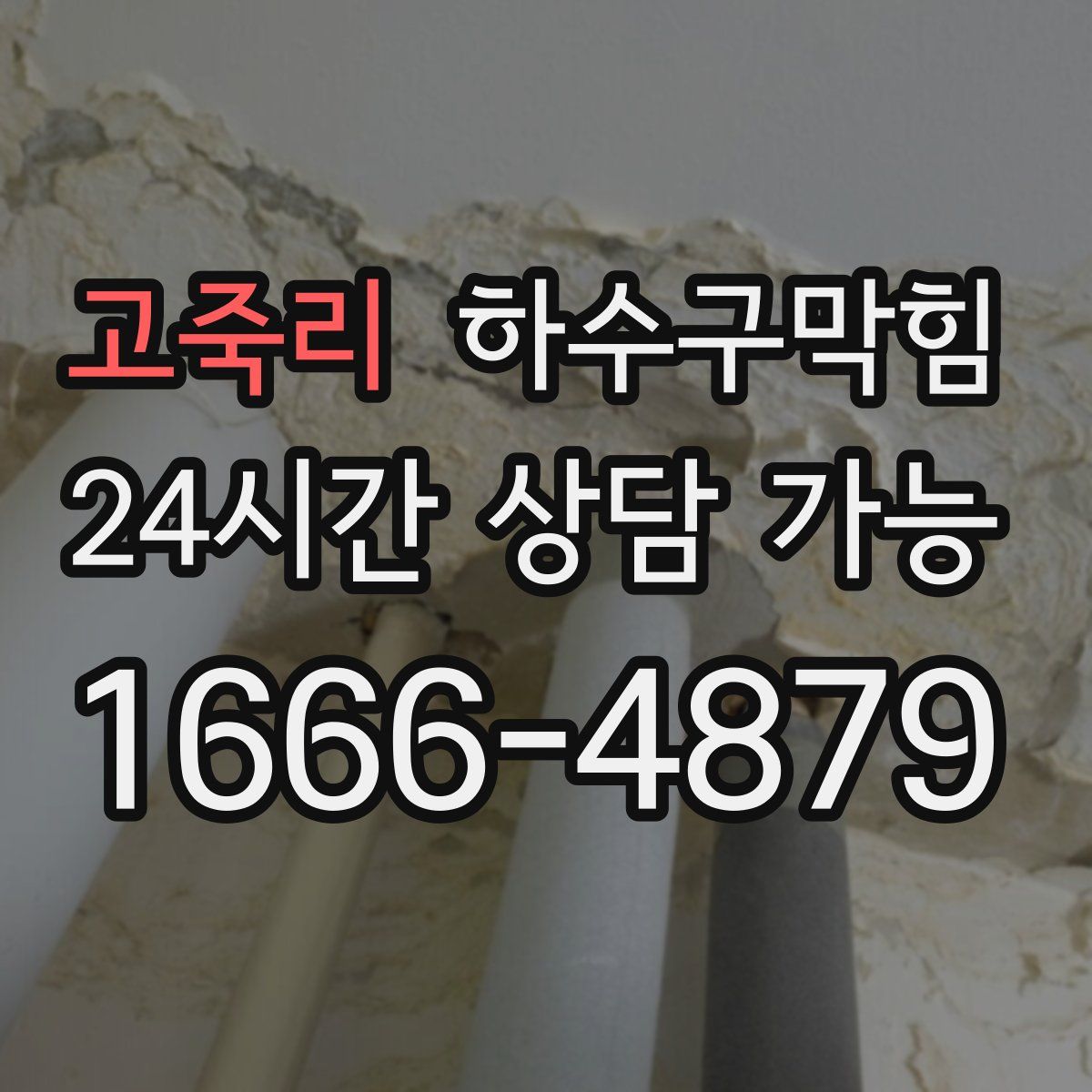 고죽리 하수구막힘