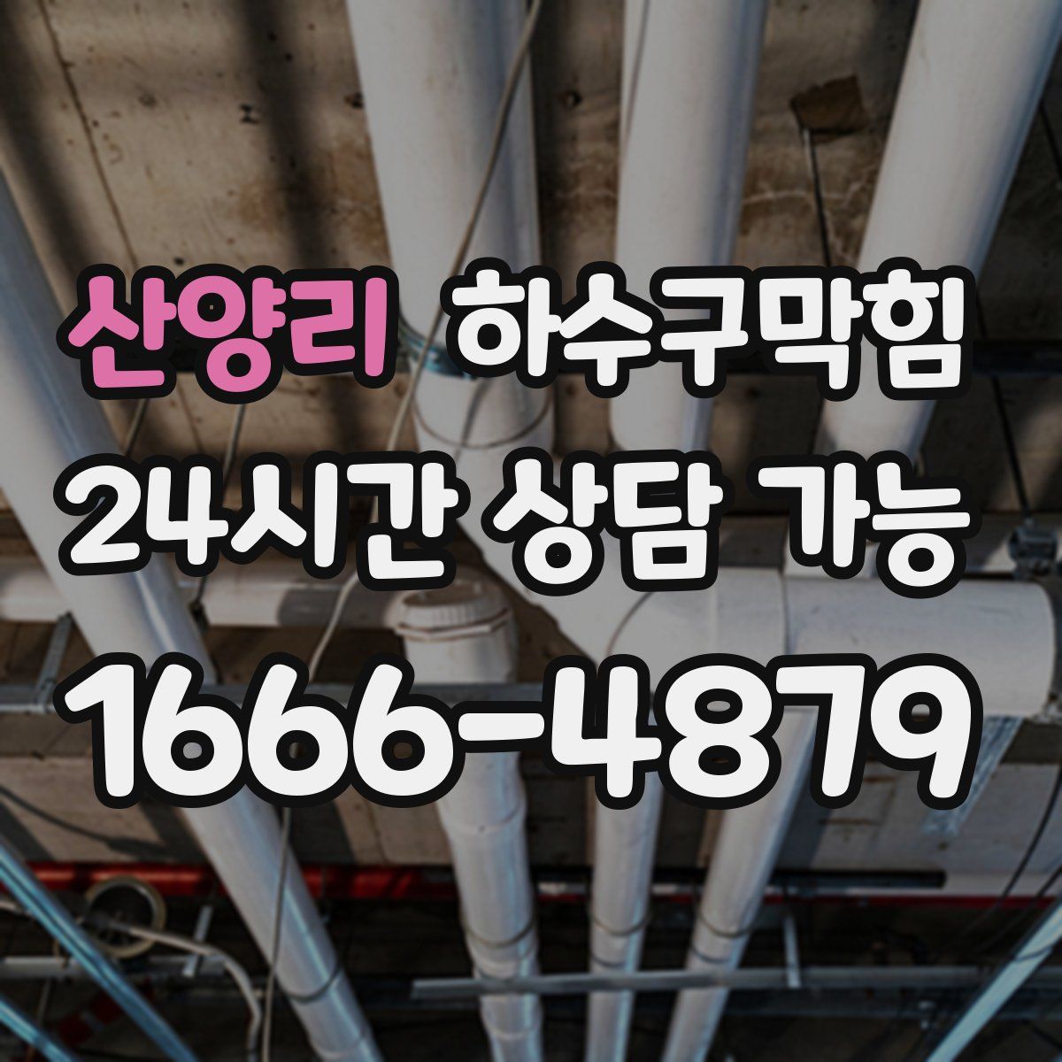 산양리 하수구막힘