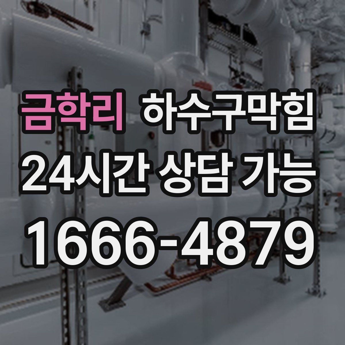 금학리 하수구막힘