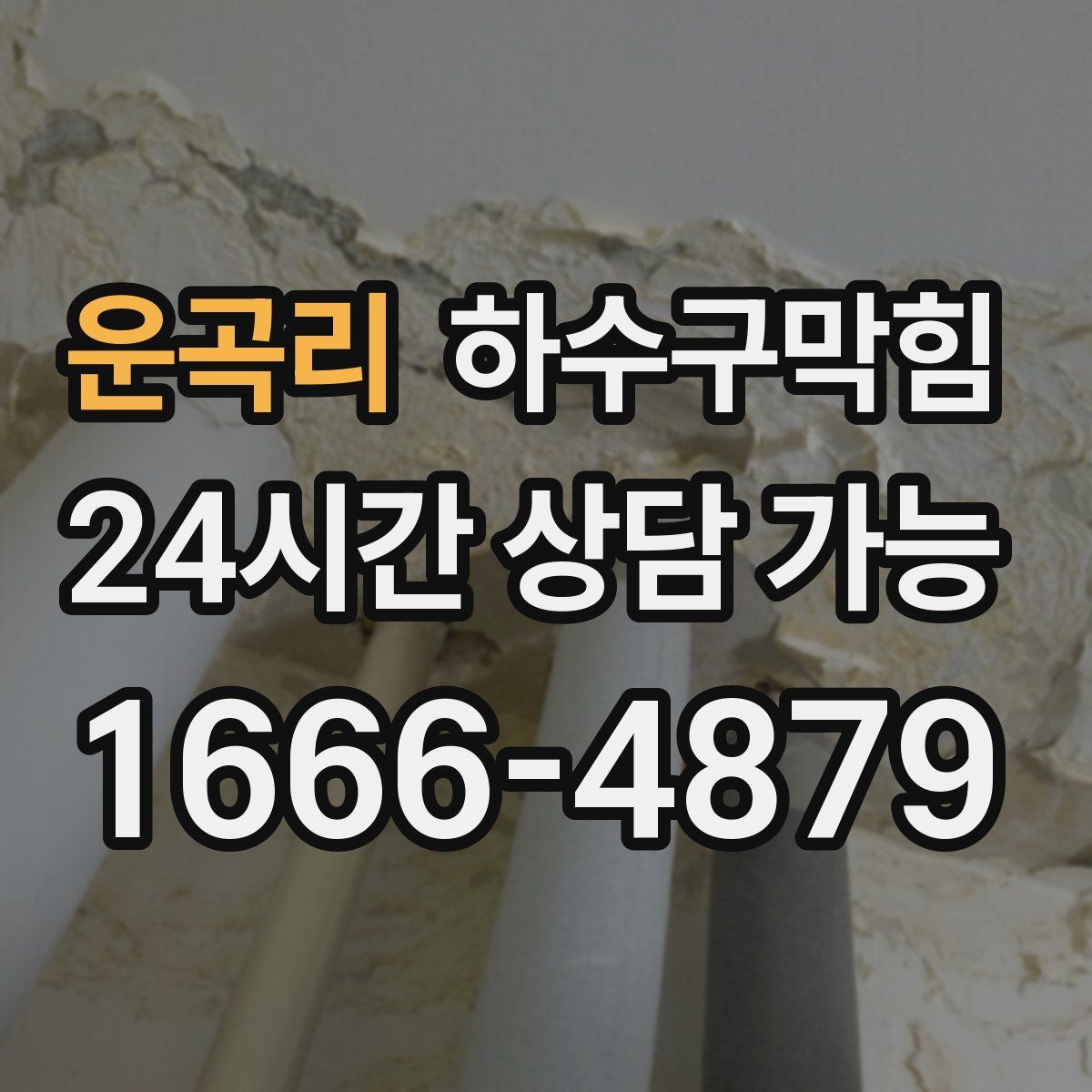 운곡리 하수구막힘