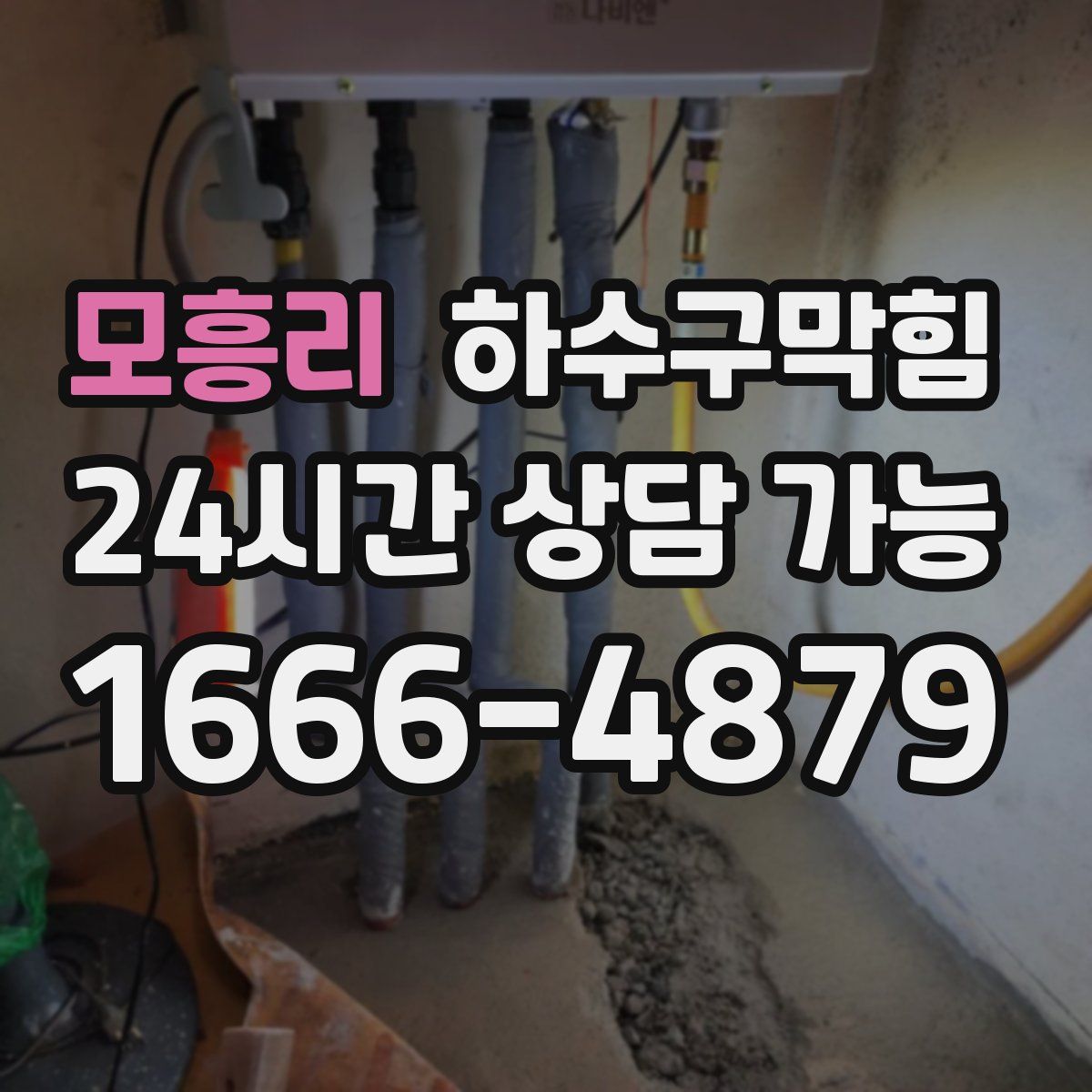 모흥리 하수구막힘