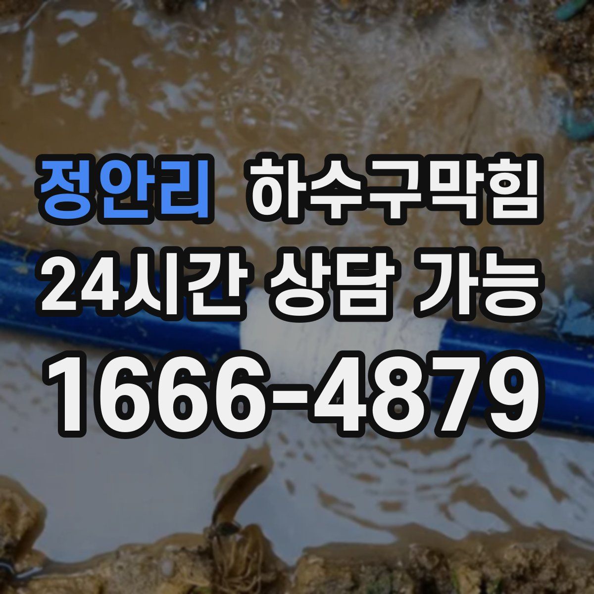 정안리 하수구막힘