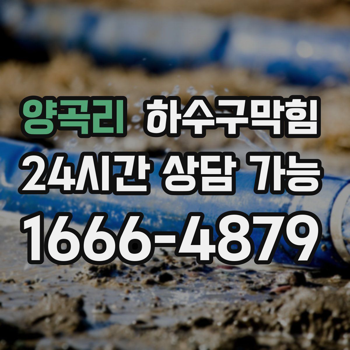 양곡리 하수구막힘