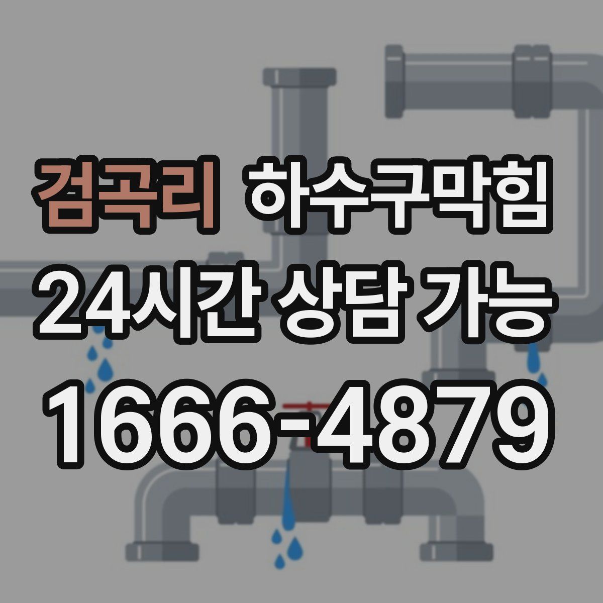 검곡리 하수구막힘