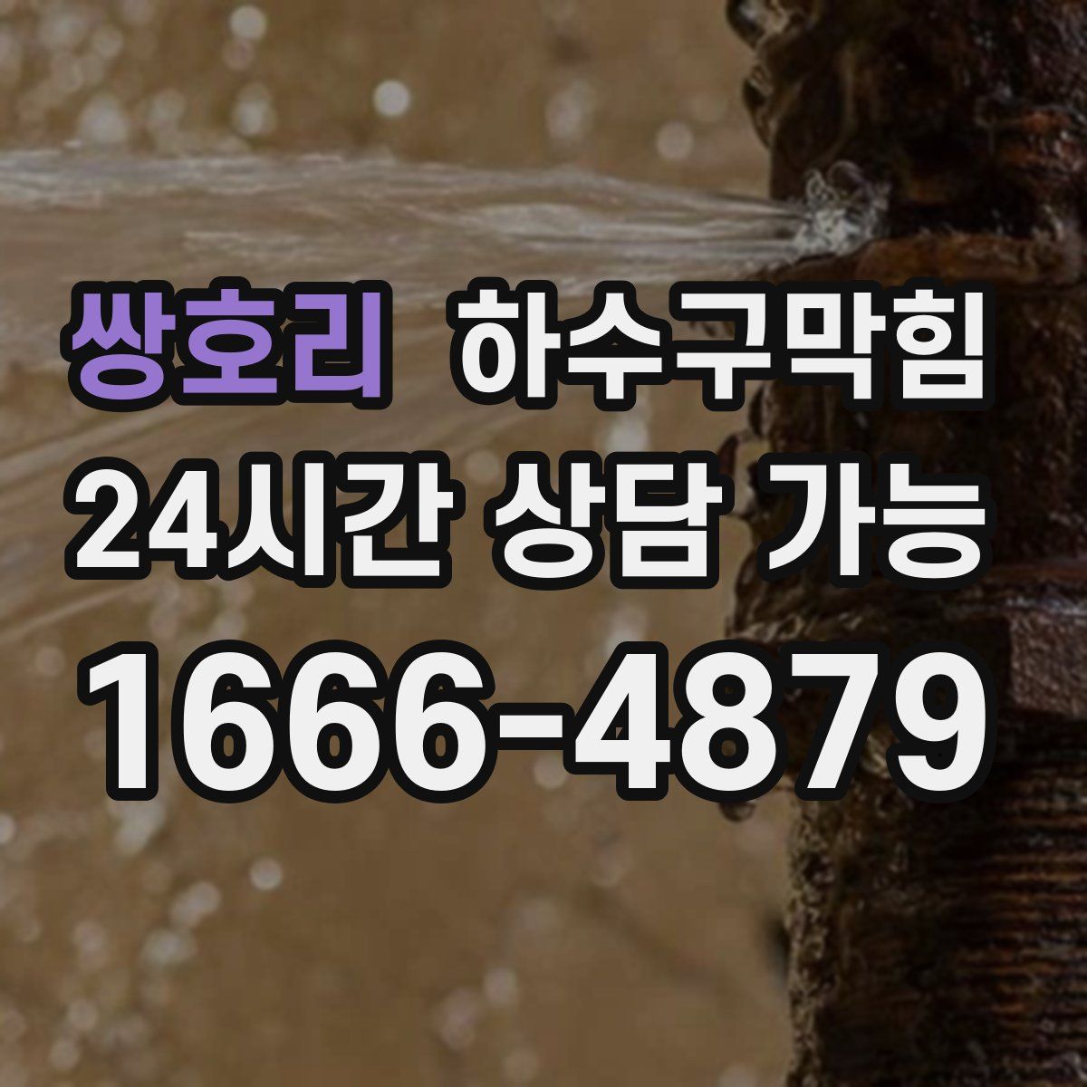 쌍호리 하수구막힘