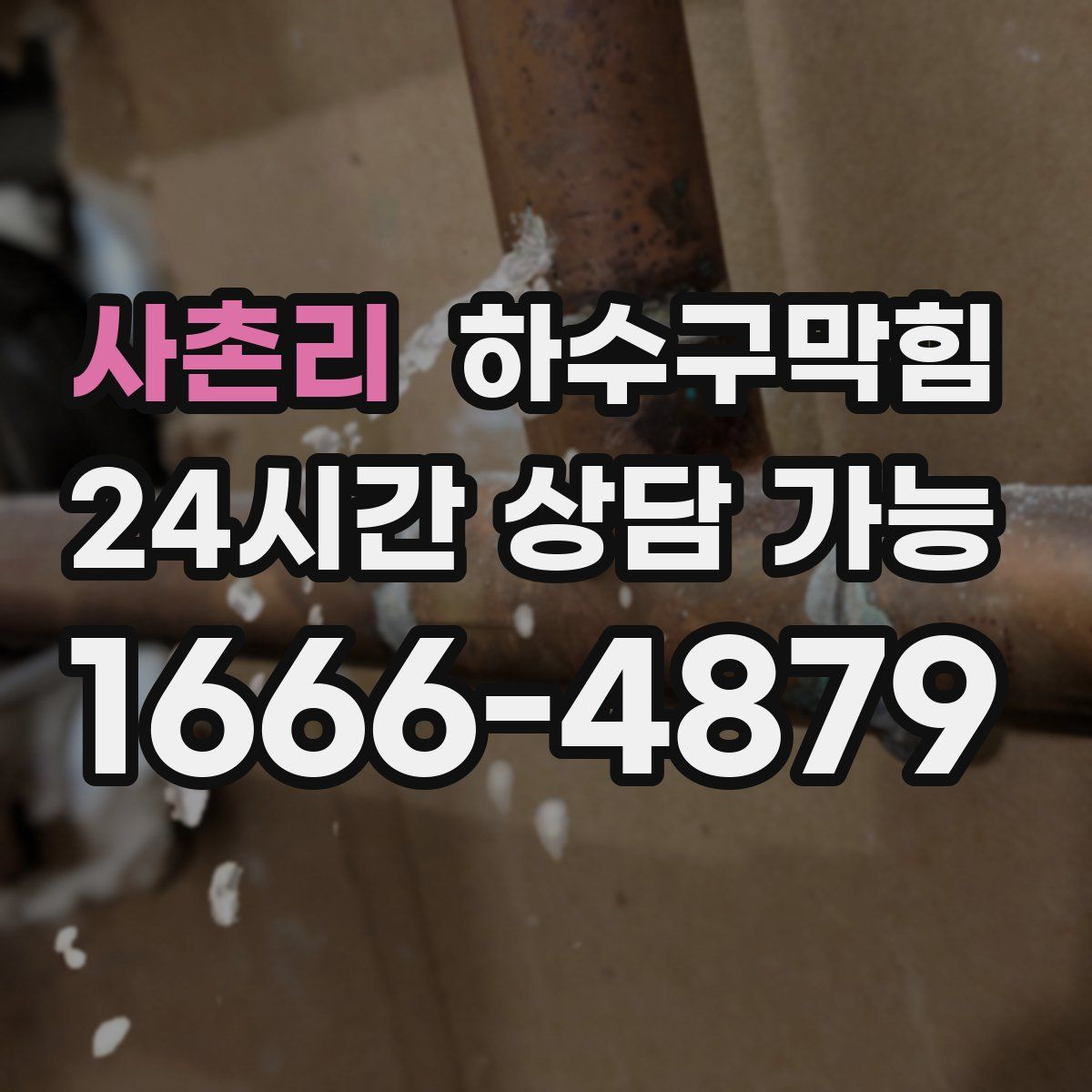 사촌리 하수구막힘