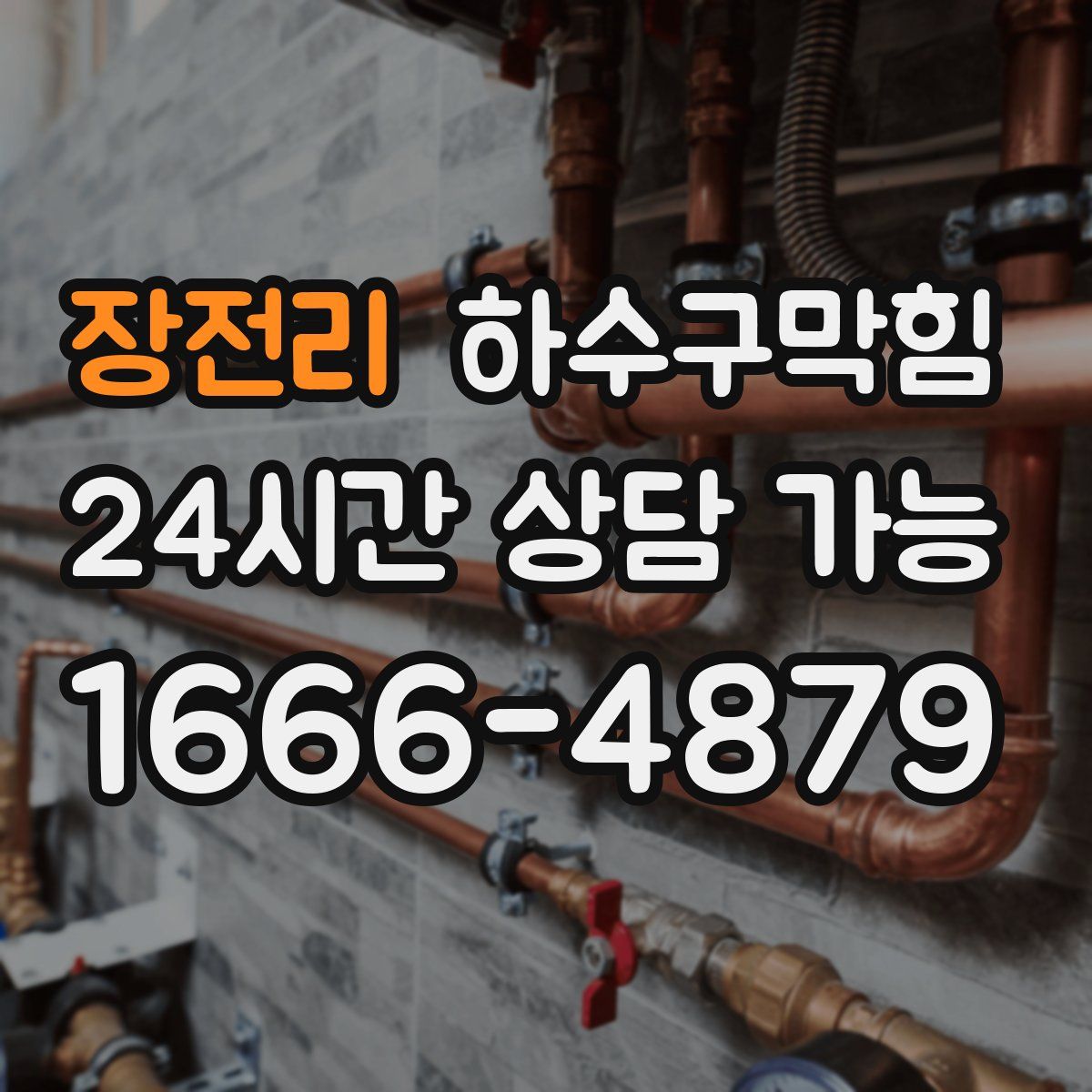 장전리 하수구막힘