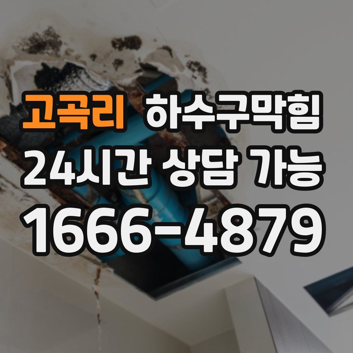 고곡리 하수구막힘