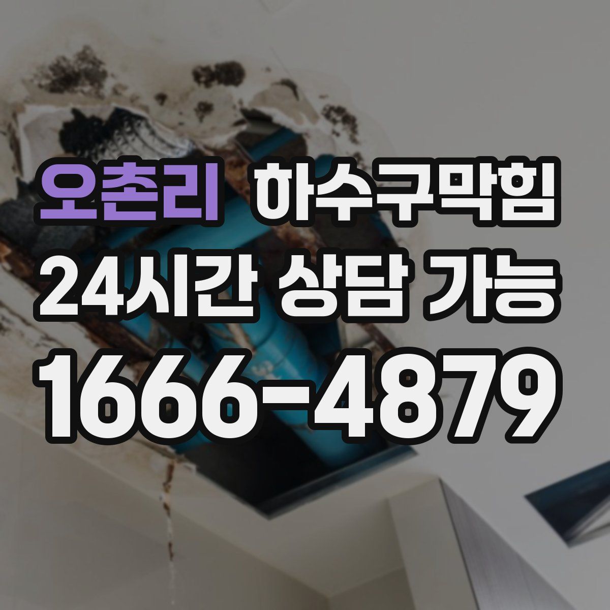 오촌리 하수구막힘