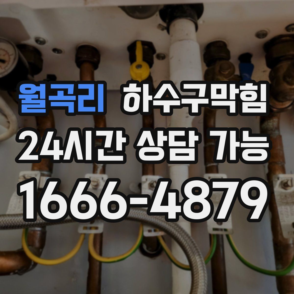 월곡리 하수구막힘