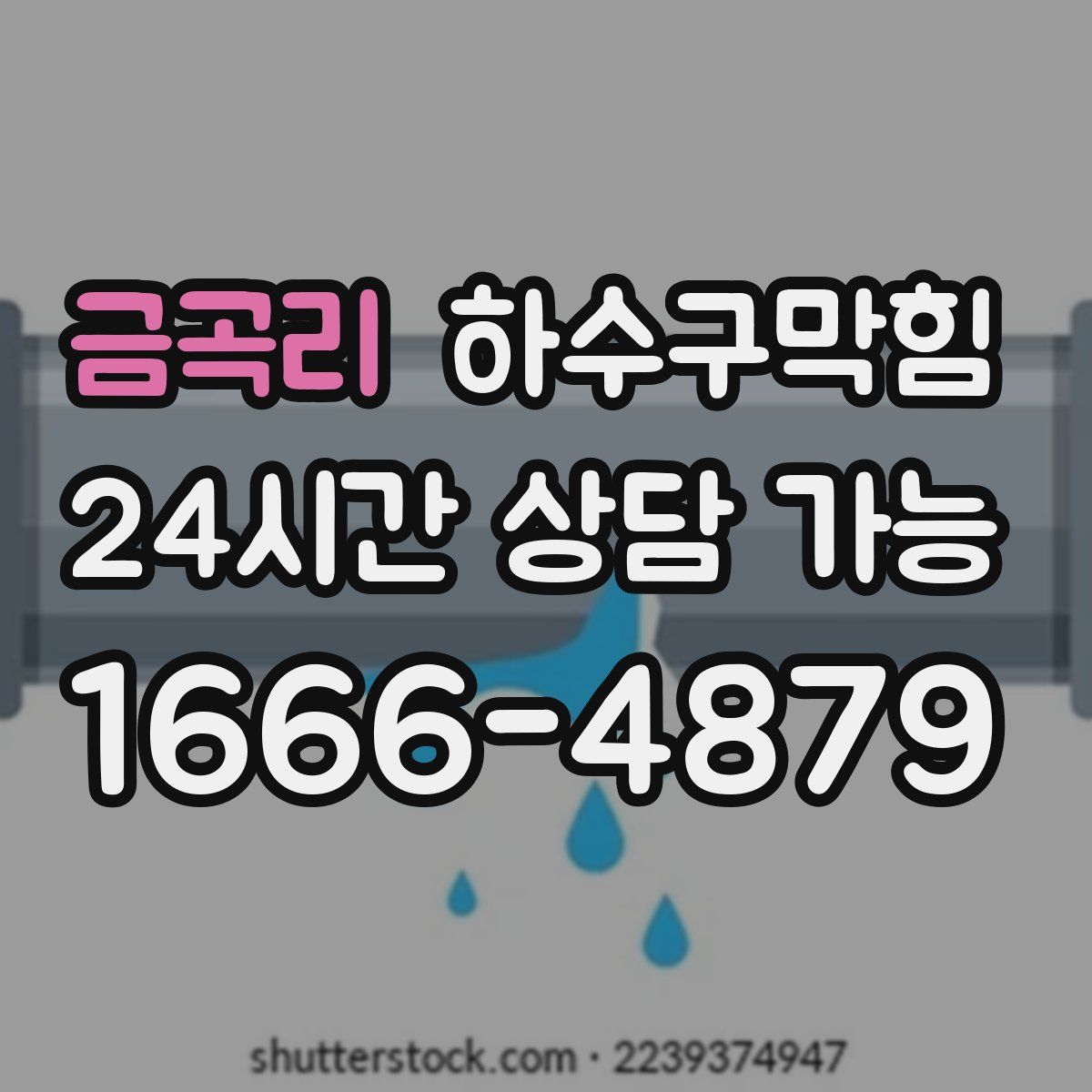 금곡리 하수구막힘