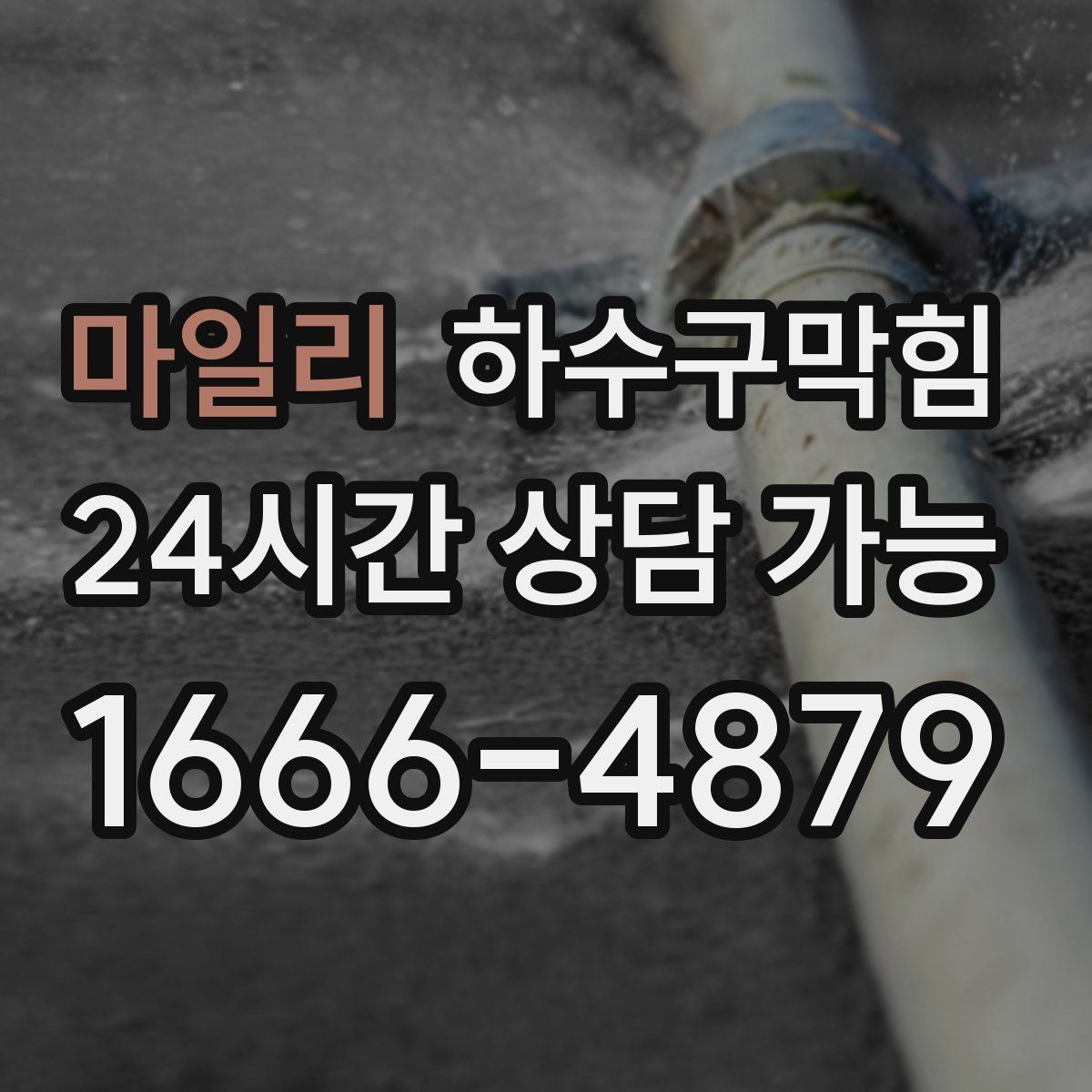 마일리 하수구막힘