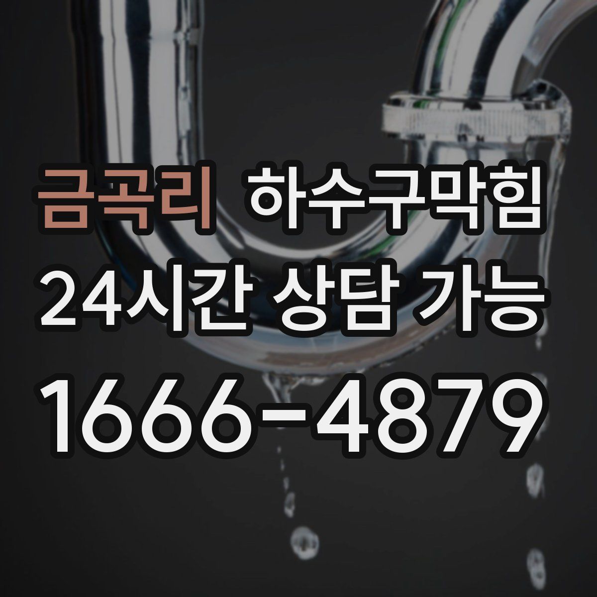 금곡리 하수구막힘