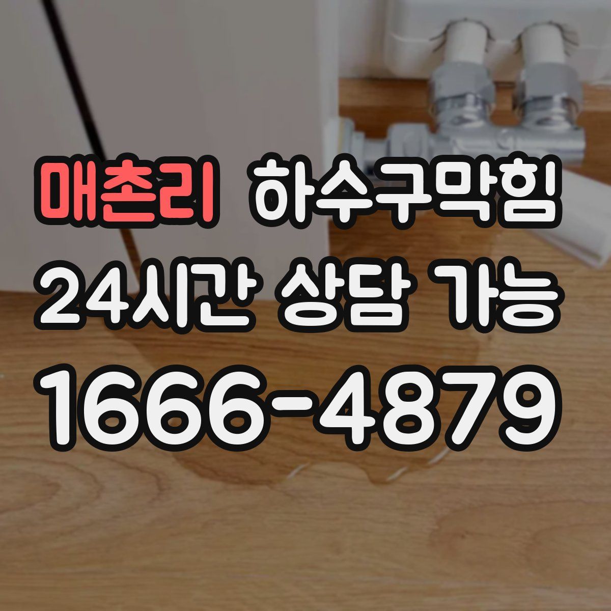 매촌리 하수구막힘