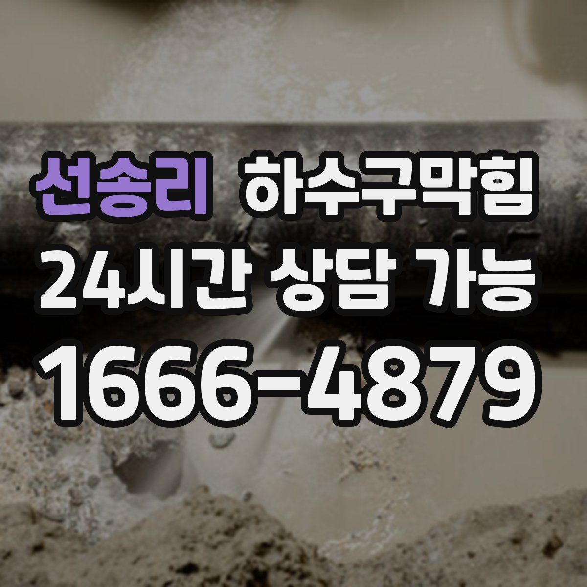 선송리 하수구막힘