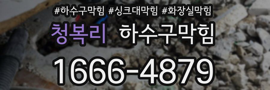 하수구막힘
