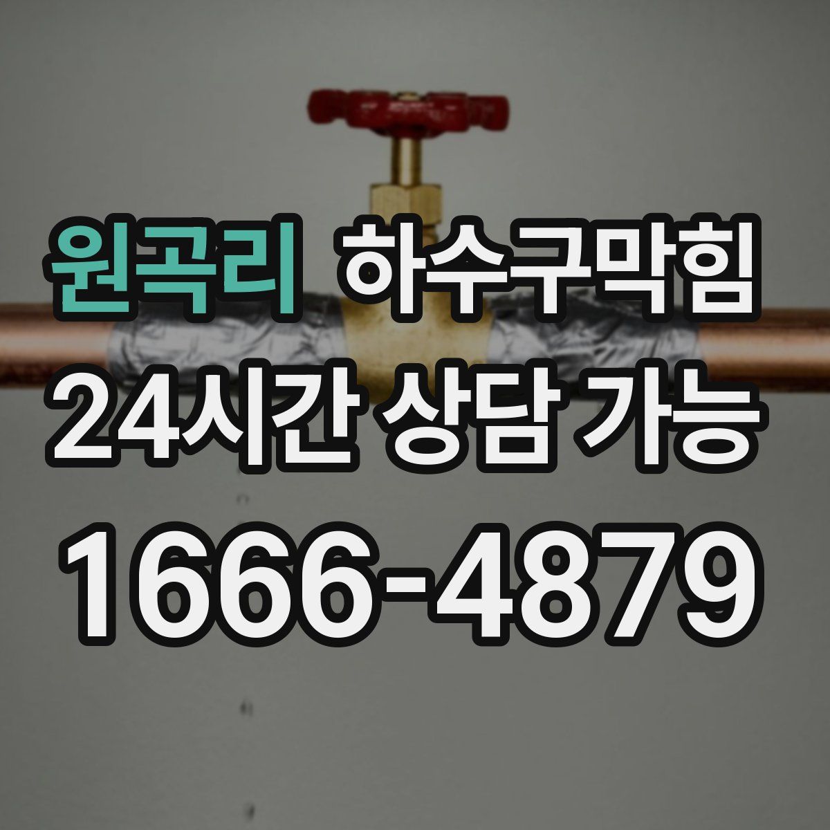 원곡리 하수구막힘