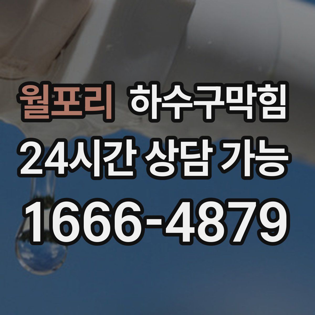 월포리 하수구막힘