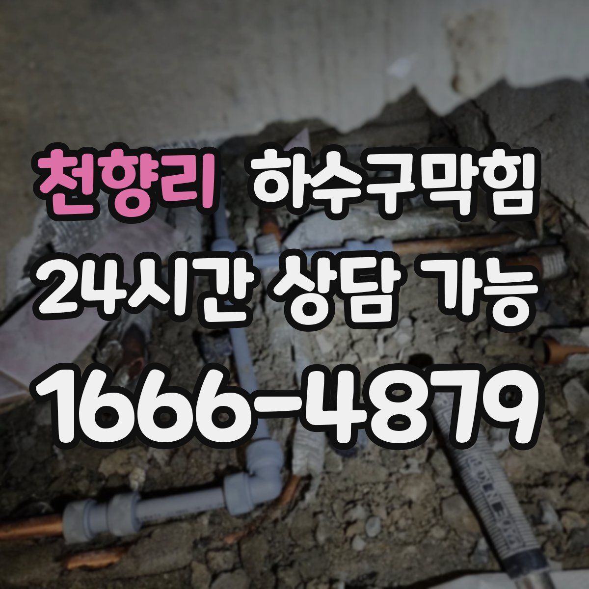 천향리 하수구막힘