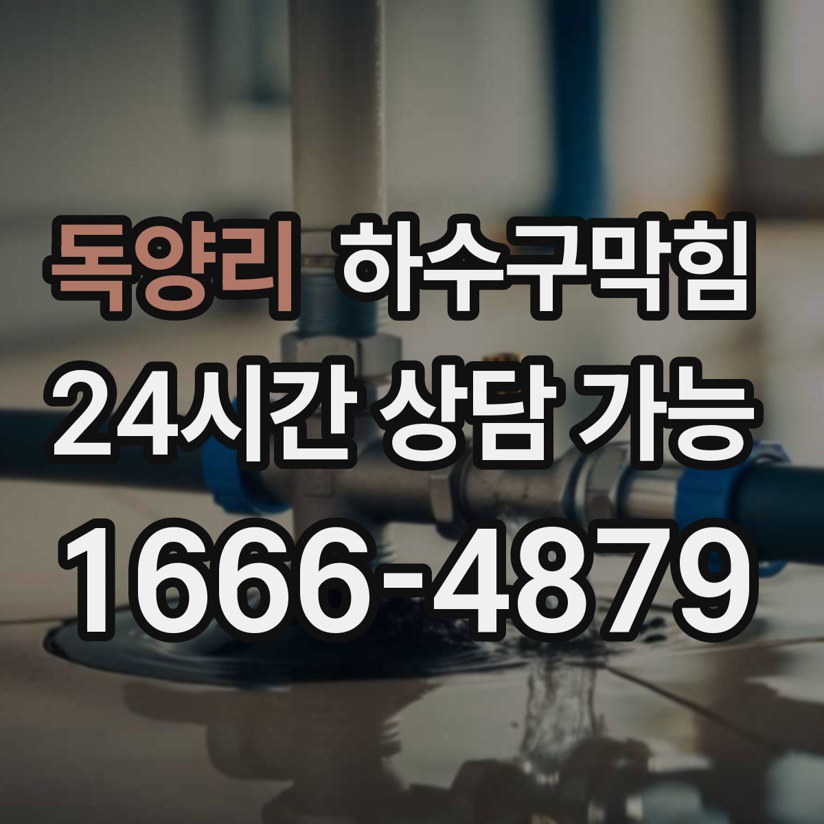 독양리 하수구막힘