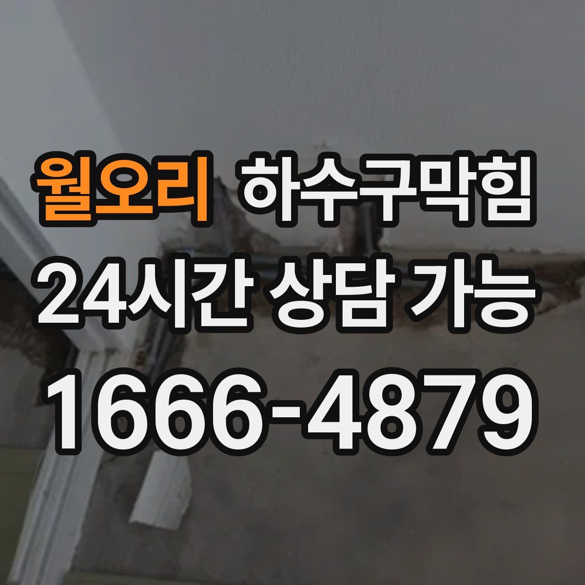 월오리 하수구막힘